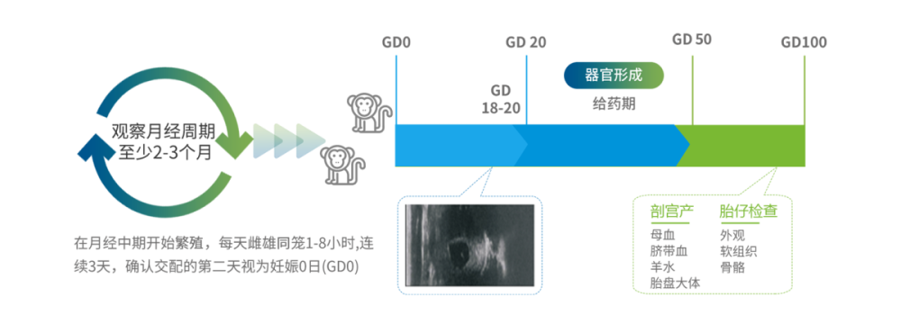 xz_img16.png
