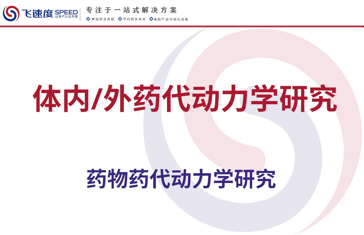 体内/外药代动力学研究