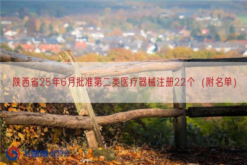 陕西省25年6月批准第二类医疗器械注册22个（附名单）(图1)