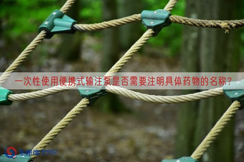 一次性使用便携式输注泵是否需要注明具体药物的名称？(图1)