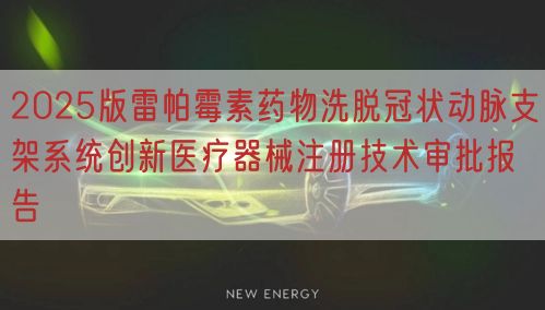 2025版雷帕霉素药物洗脱冠状动脉支架系统创新医疗器械注册技术审批报告(图1)