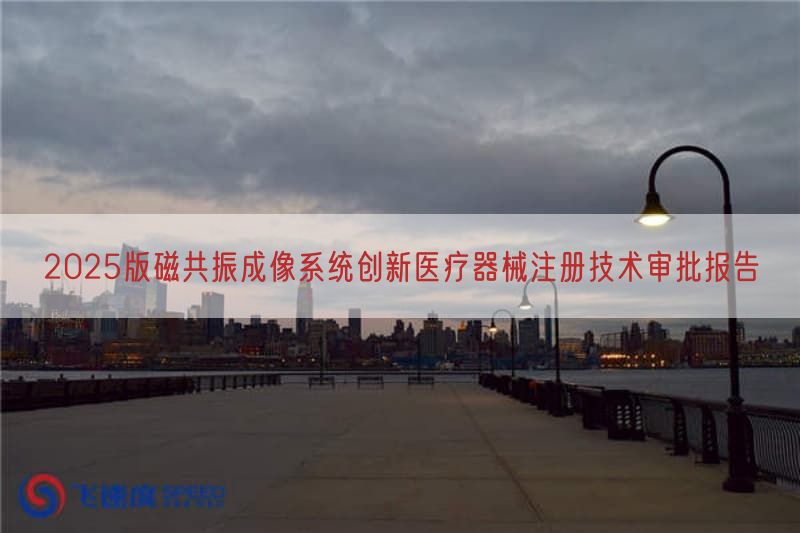 2025版磁共振成像系统创新医疗器械注册技术审批报告(图1)