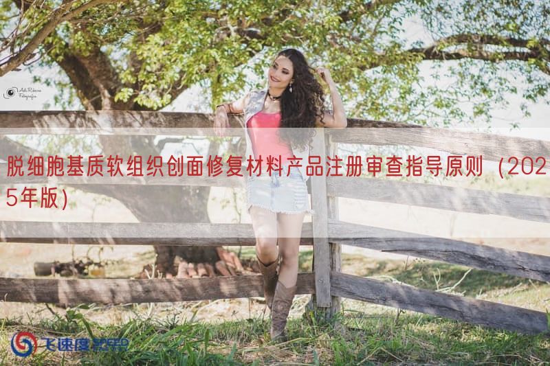 脱细胞基质软组织创面修复材料产品注册审查指导原则（2025年版）(图1)