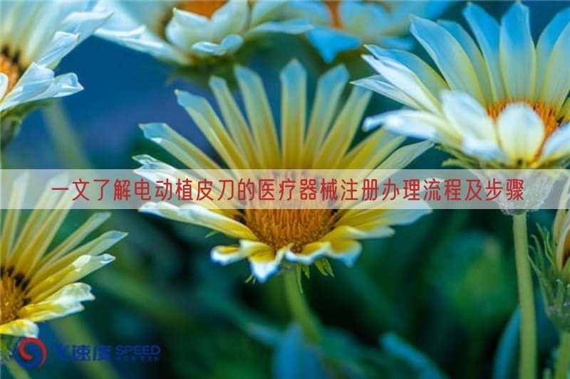 一文了解电动植皮刀的医疗器械注册办理流程及步骤(图1)