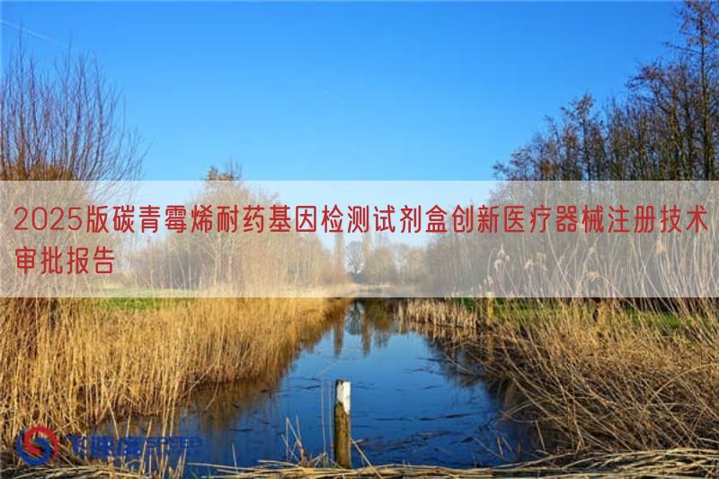 2025版碳青霉烯耐药基因检测试剂盒创新医疗器械注册技术审批报告(图1)