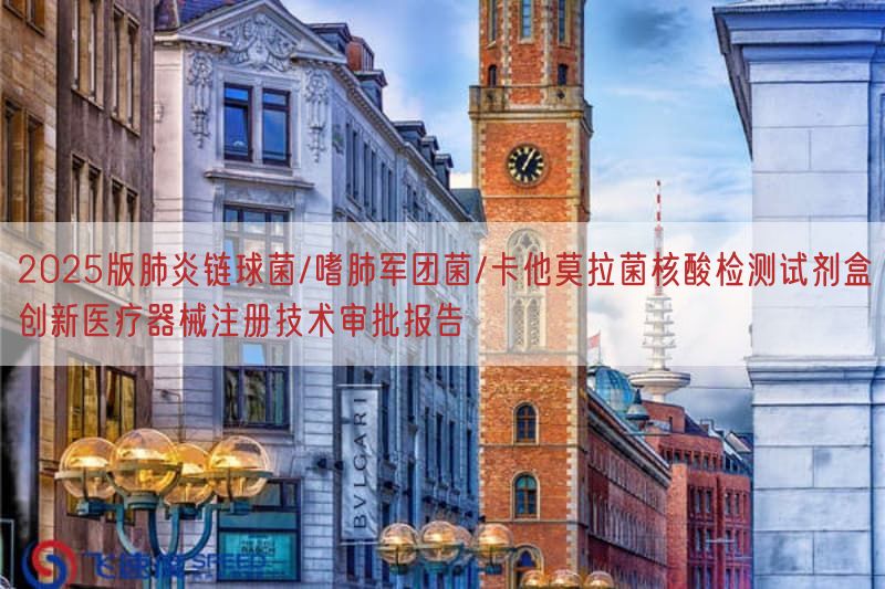 2025版肺炎链球菌/嗜肺军团菌/卡他莫拉菌核酸检测试剂盒创新医疗器械注册技术审批报告(图1)