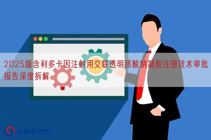 2025版含利多卡因注射用交联透明质酸钠凝胶注册技术审批报告深度拆解(图1)