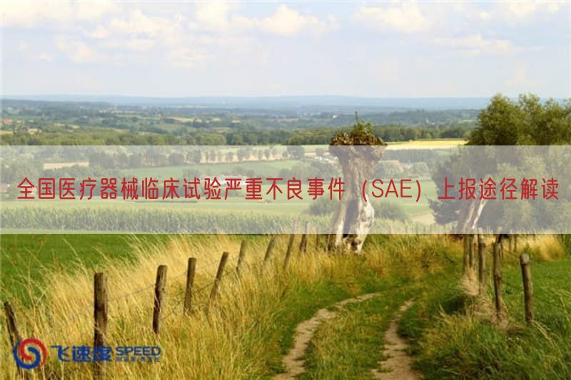 全国医疗器械临床试验严重不良事件（SAE）上报途径研究(图1)