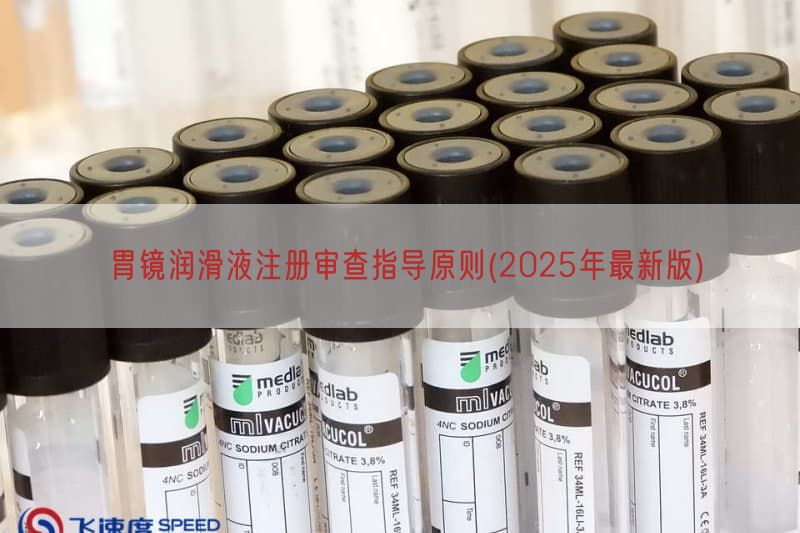 胃镜润滑液注册审查指导原则(2025年最新版)(图1)