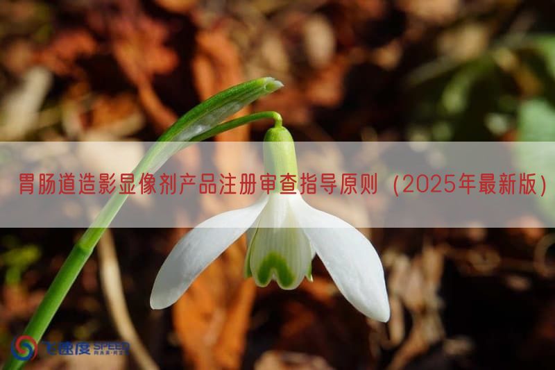 胃肠道造影显像剂产品注册审查指导原则（2025年最新版）(图1)
