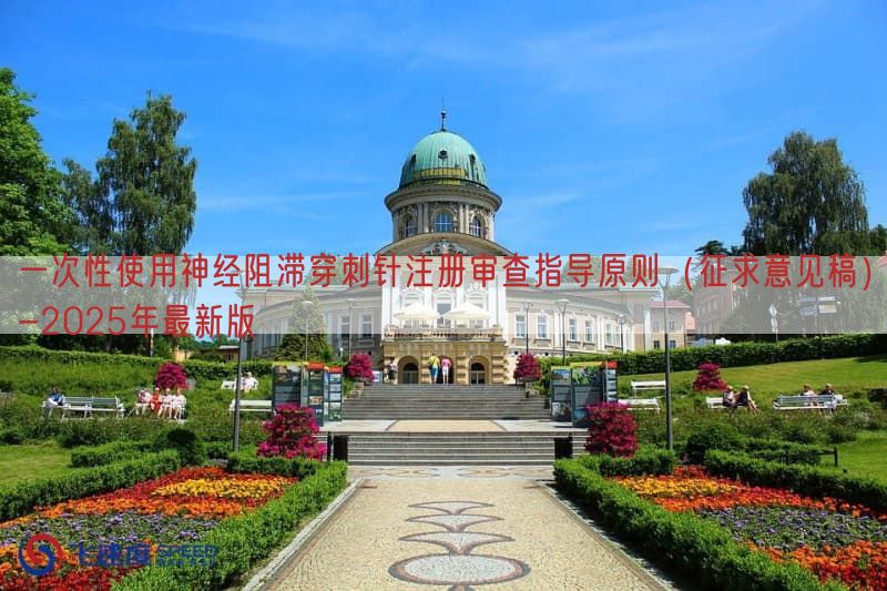 一次性使用神经阻滞穿刺针注册审查指导原则（征求意见稿）-2025年最新版(图1)
