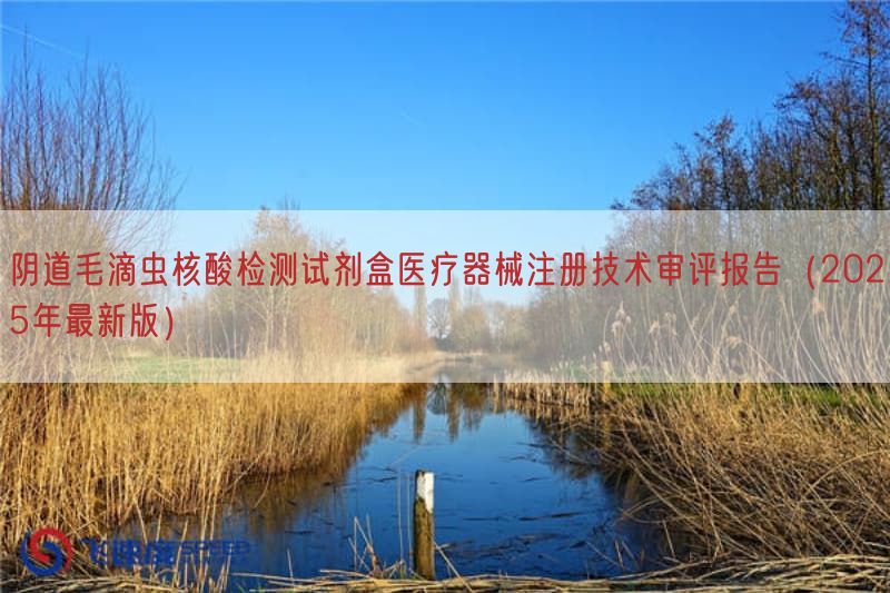 阴道毛滴虫核酸检测试剂盒医疗器械注册技术审评报告（2025年最新版）(图1)