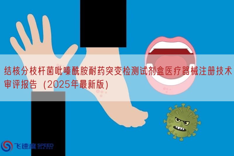 结核分枝杆菌吡嗪酰胺耐药突变检测试剂盒医疗器械注册技术审评报告（2025年最新版）(图1)