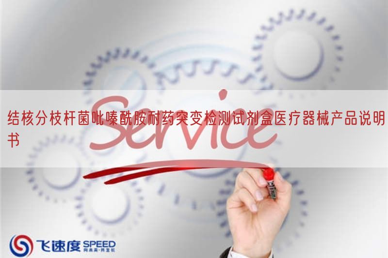 结核分枝杆菌吡嗪酰胺耐药突变检测试剂盒医疗器械产品说明书(图1)