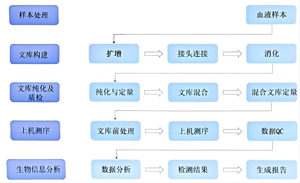 α 与 β 地 中海贫血基因检测试剂盒产品说明书模板(图1)