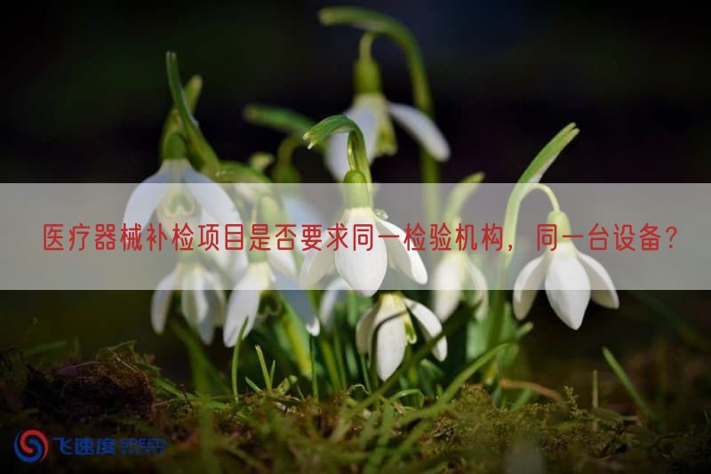 医疗器械补检项目是否要求同一检验机构，同一台设备？(图1)