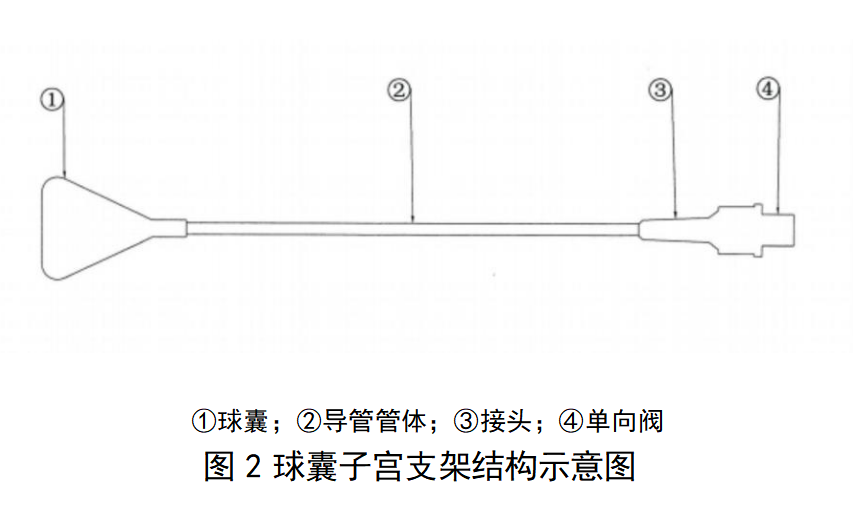 一次性使用球囊子宫支架审评要点（征求意见稿）(图3)