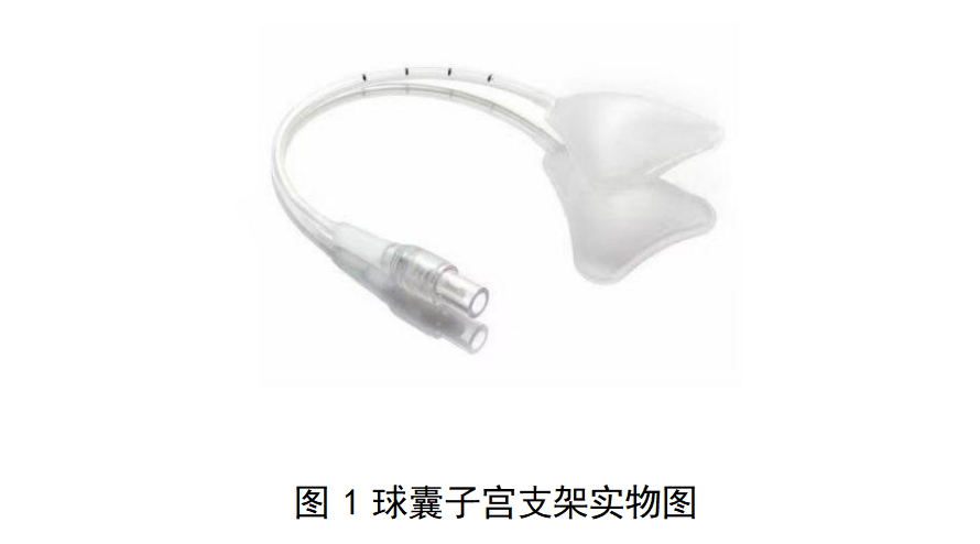 一次性使用球囊子宫支架审评要点（征求意见稿）(图2)