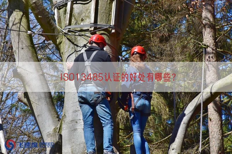 ISO13485认证的好处有哪些？(图1)