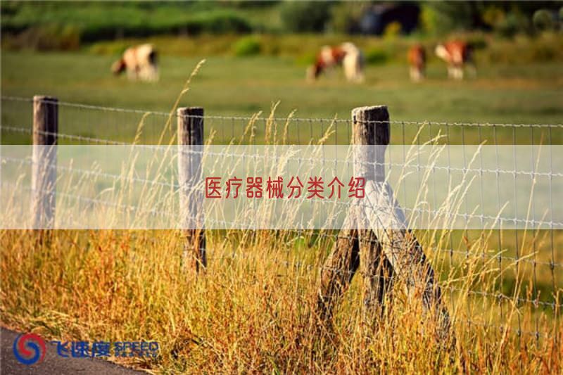 医疗器械分类介绍