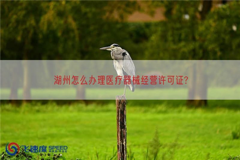 湖州怎么办理医疗器械经营许可证?(图1)