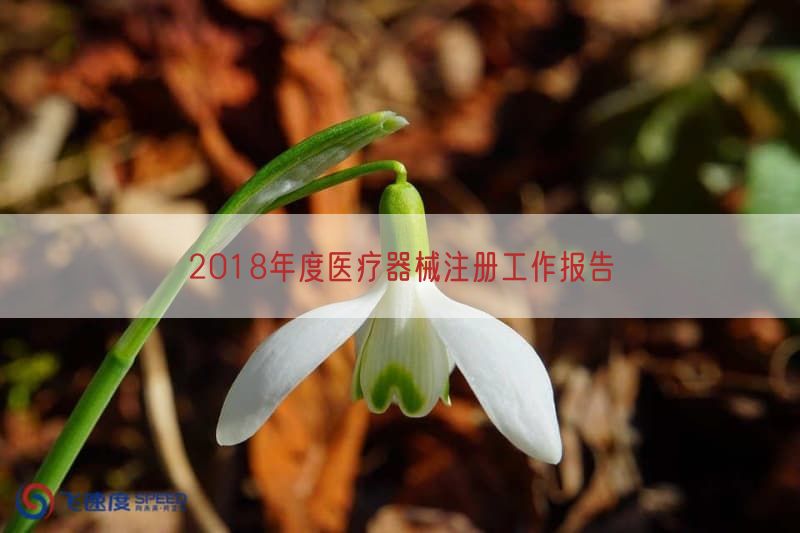 2018年度医疗器械注册工作报告