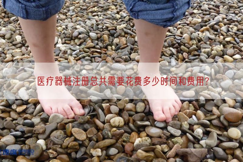 医疗器械注册总共需要花费多少时间与费用？