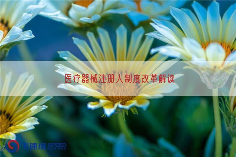 医疗器械注册人制度改革研究