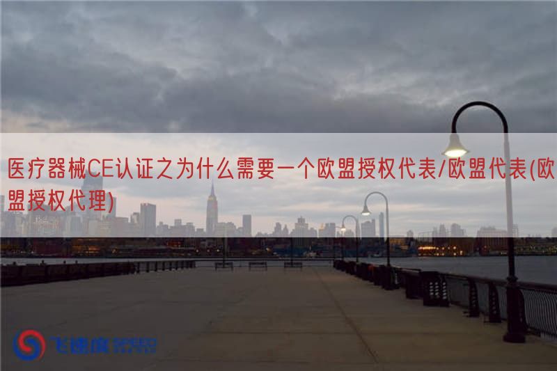 医疗器械CE认证之为什么需要一个欧盟授权代表/欧盟代表(欧盟授权代理)(图1)
