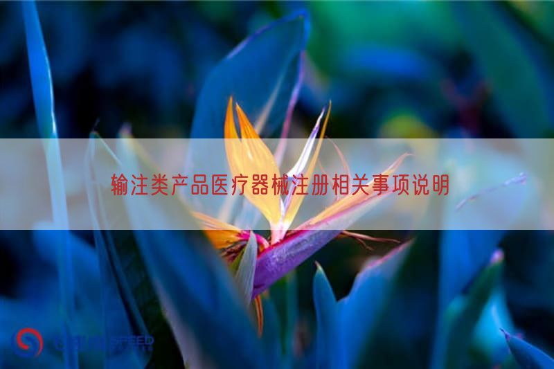 输注类产品医疗器械注册相关事项说明