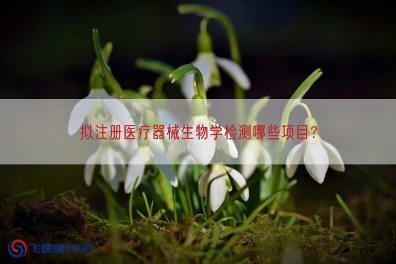 拟注册医疗器械生物学检测哪些项目？
