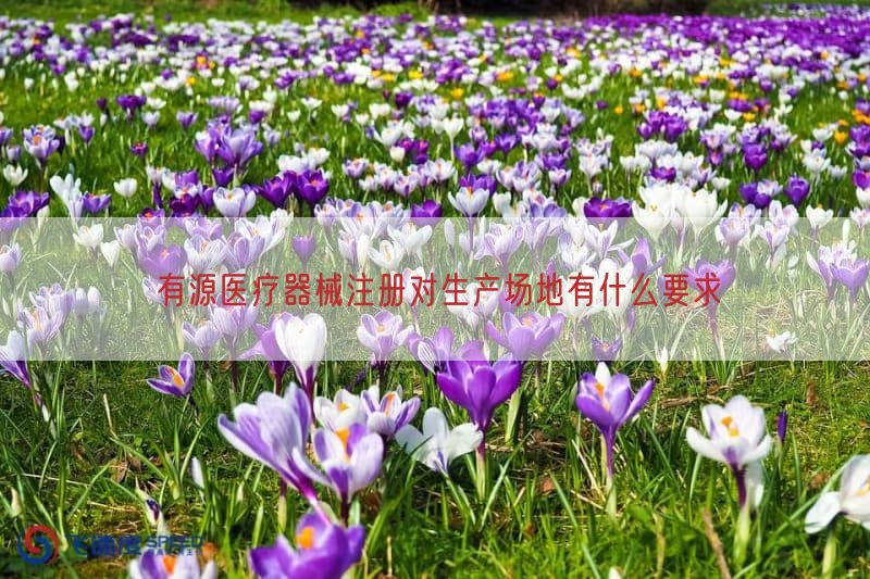 有源医疗器械注册对生产场地有什么要求