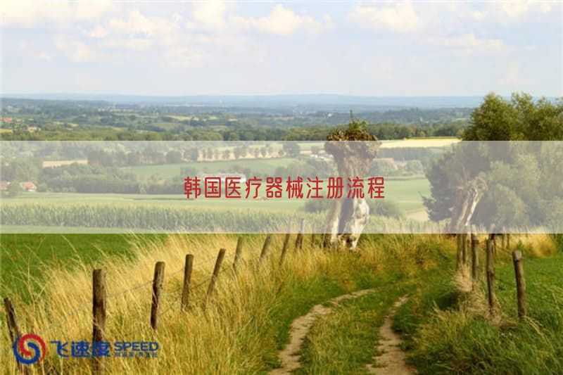 韩国医疗器械注册流程