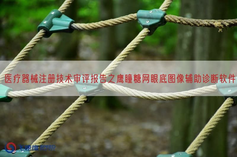 医疗器械注册技术审评报告之鹰瞳糖网眼底图像辅助诊断软件(图1)