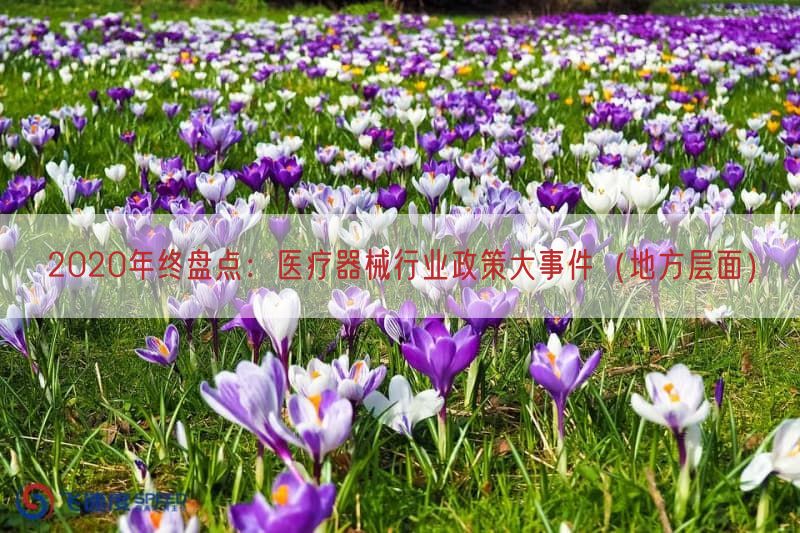 2020年终盘点:医疗器械行业政策大事件(地方层面)(图1) 2020年终盘点:医疗器械行业政策大事件(地方层面)(图1)