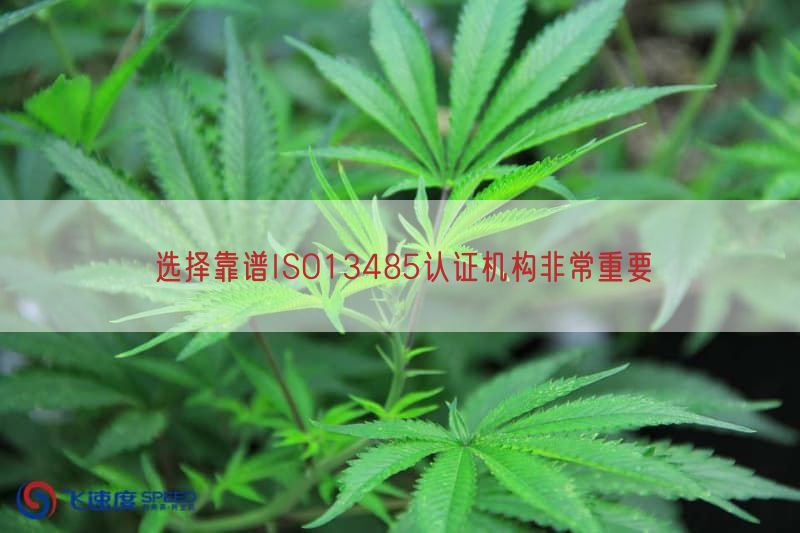 选择靠谱ISO13485认证机构十分重要