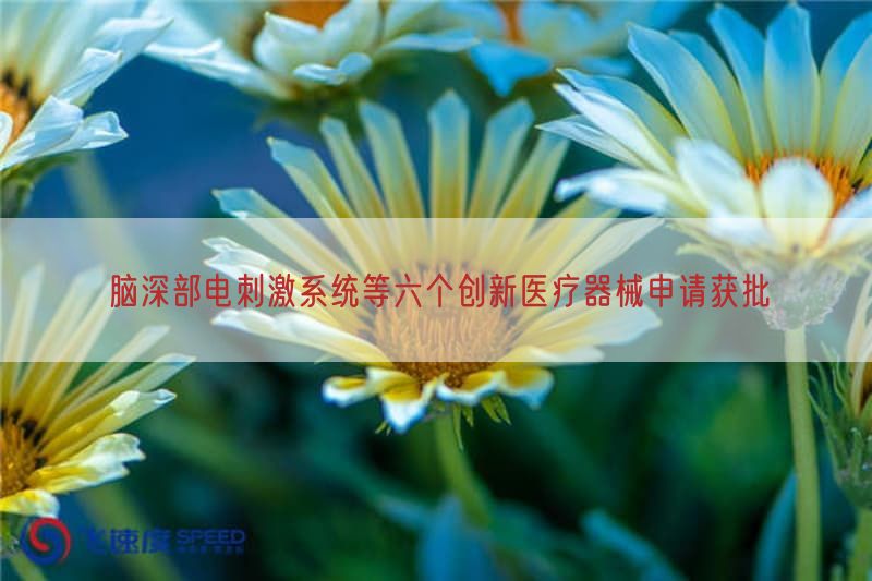 脑深部电刺激系统等六个创新医疗器械申请获批