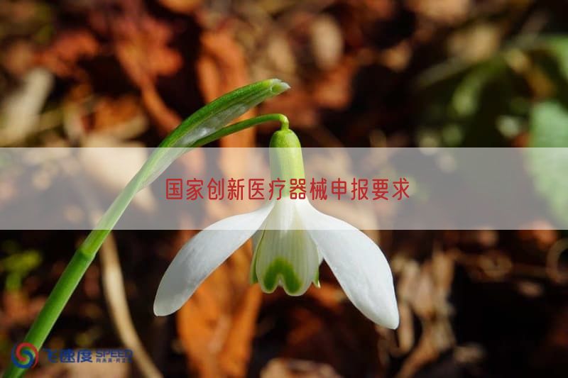 国家创新医疗器械申报要求(图1)