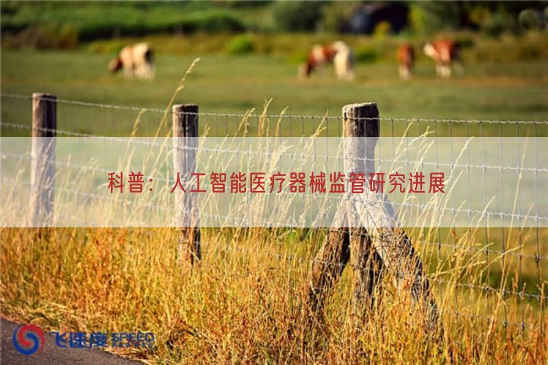 科普：人工智能医疗器械监管研究进展