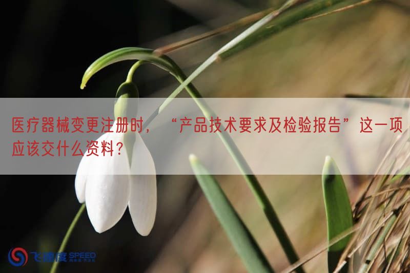 医疗器械变更注册时，“产品技术要求及检验报告”这一项应该交什么资料？(图1)