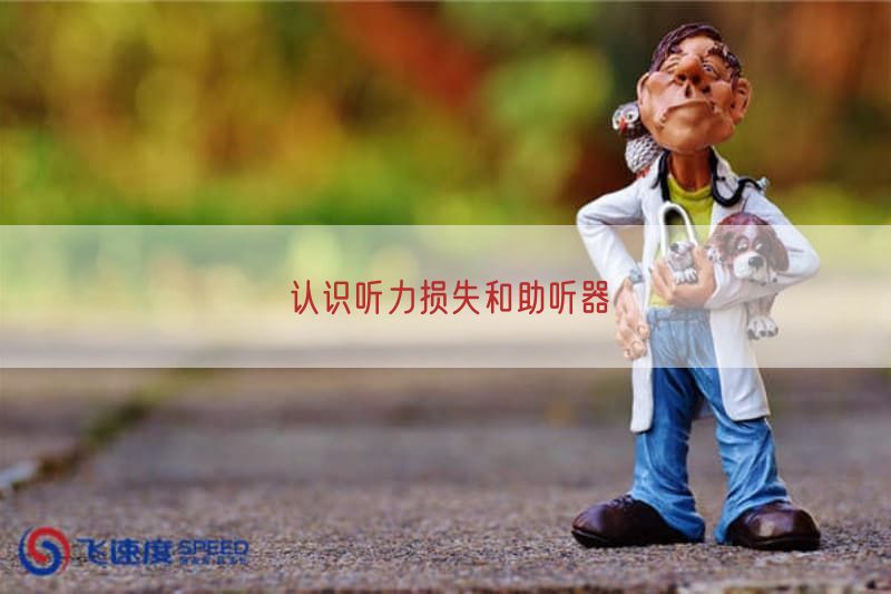 认识听力损失与助听器(图1) 认识听力损失与助听器(图1)