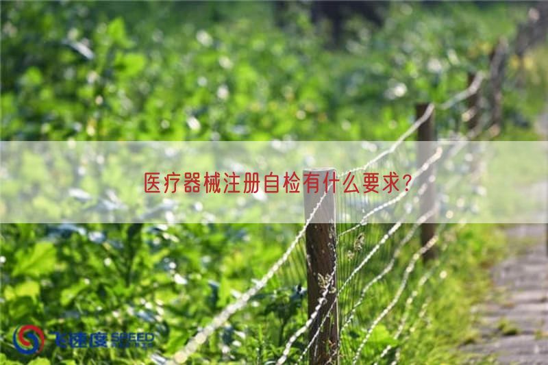 医疗器械注册自检有什么要求？(图1)