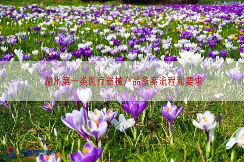 湖州第一类医疗器械产品备案流程与要求