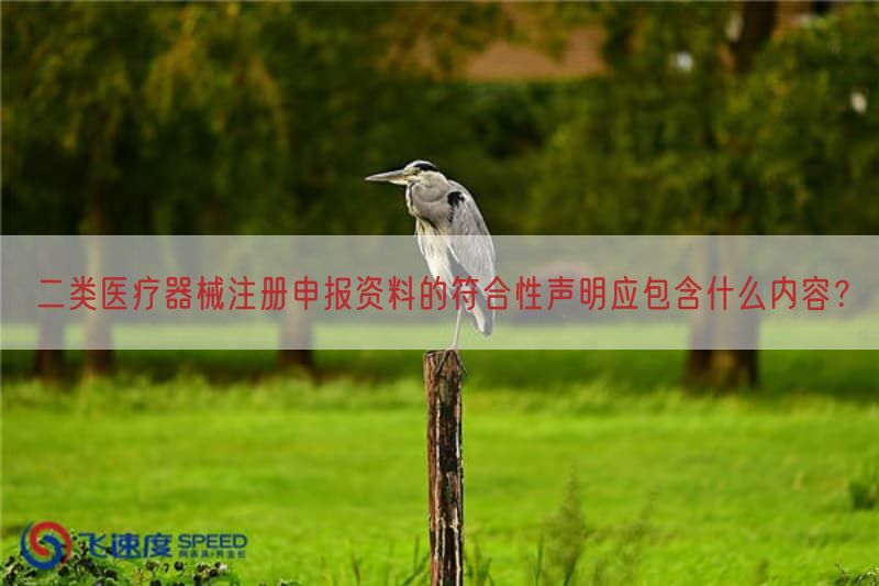 二类医疗器械注册申报资料的符合性声明应包括什么内容？