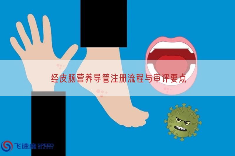 经皮肠营养导管注册流程与审评要点(图1)