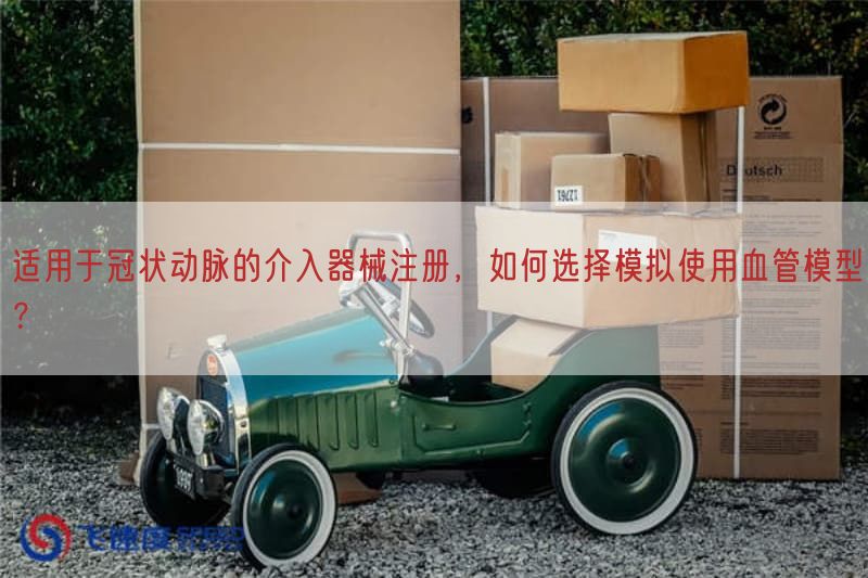 适用于冠状动脉的介入器械注册，如何选择模拟使用血管模型？