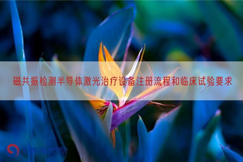 磁共振检测半导体激光治疗设备注册流程与临床试验要求(图1)