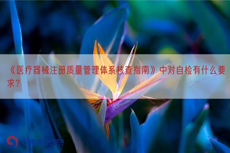 《医疗器械注册质量管理体系核查指南》中对自检有什么要求？