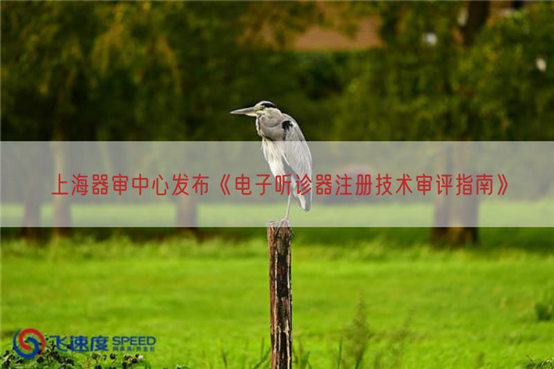 上海器审中心发布《电子听诊器注册技术审评指南》(图1)