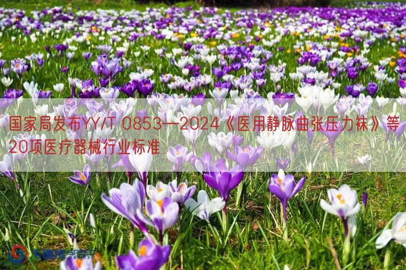 国家局发布YY/T 0853—2024《医用静脉曲张压力袜》等20项医疗器械行业标准(图1)